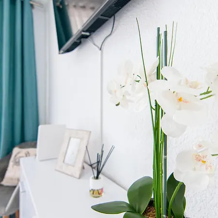 Apartment Cosy In Playa De Americas Ph10 Playa de las Américas